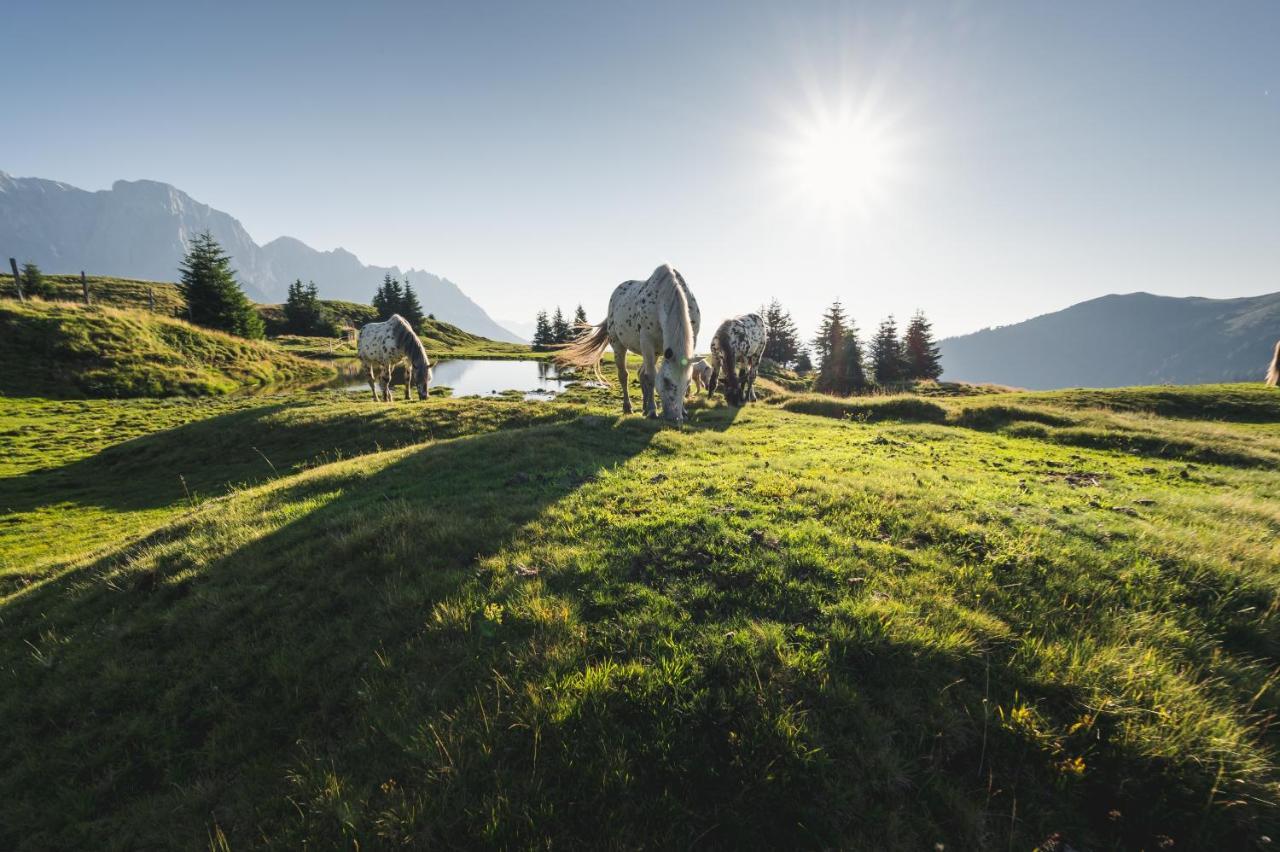 Alpenparks Hotel & Apartment Hochkoenig Mühlbach am Hochkönig Exteriér fotografie